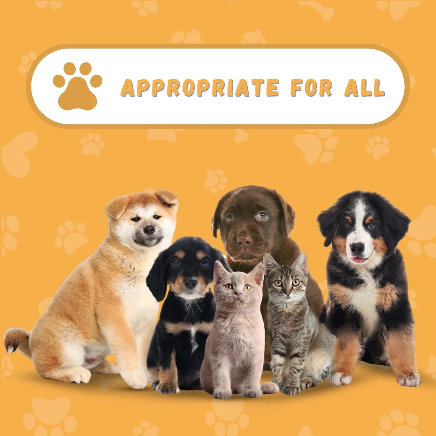Genie Pet Tag by Loss Recovery I Emergency Medicine Profile